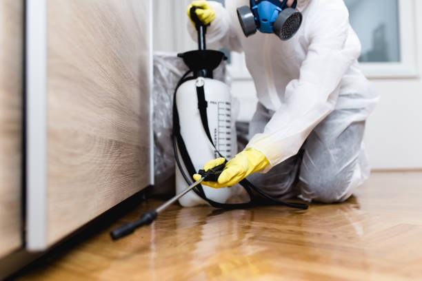 Best Best Pest Control Companies  in Bear Creek Ranch, TX