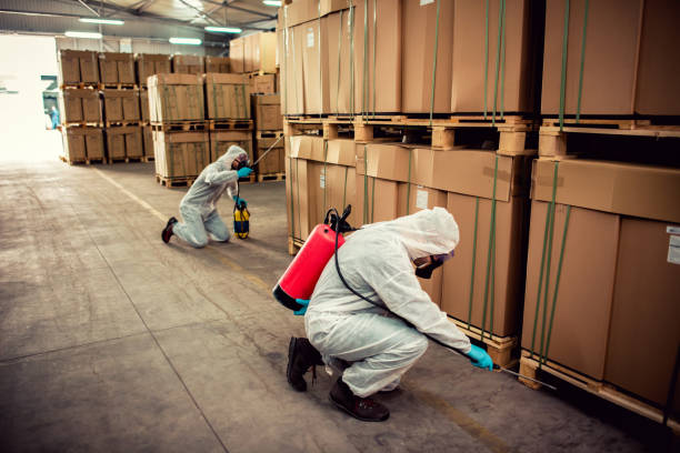 Best Exterminator Services  in Bear Creek Ranch, TX