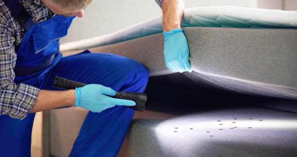 Pest Prevention Services in Bear Creek Ranch, TX