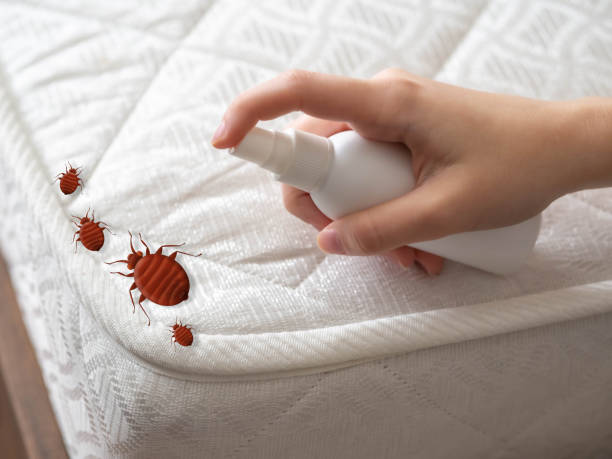 Best Pest Inspection Near Me  in Bear Creek Ranch, TX