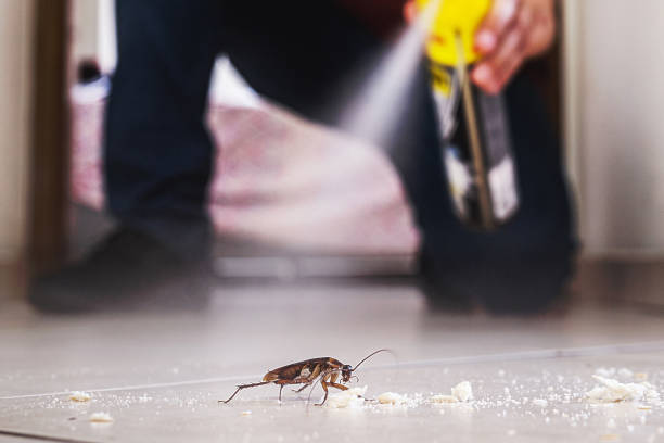 Best Cockroach Control Services  in Bear Creek Ranch, TX